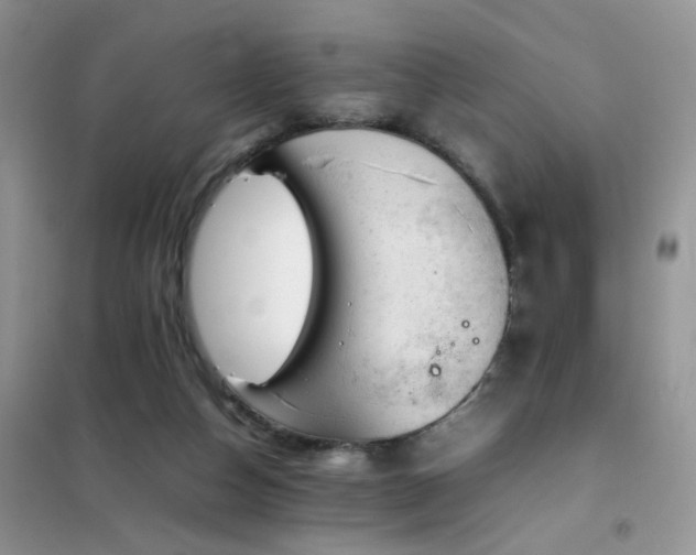 X0000102390162200808011608