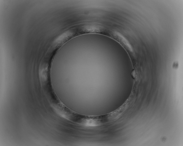 X0000102390163200808011608