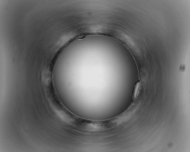 X0000102390164200808011608