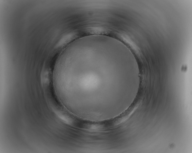 X0000102390165200808011608