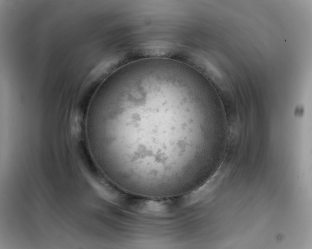 X0000102390166200808011608