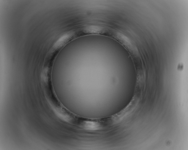 X0000102390167200808011608