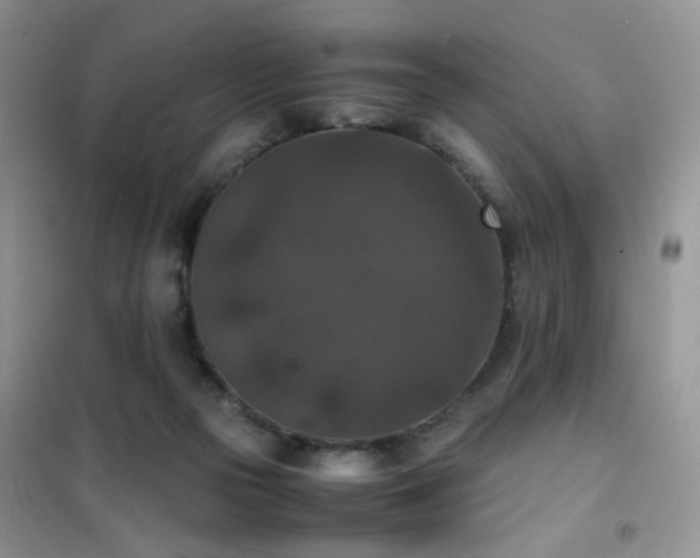 X0000102390169200808011608