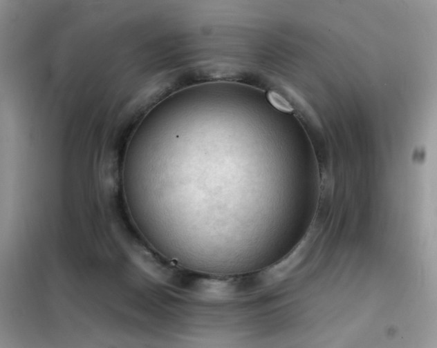 X0000102390170200808011608