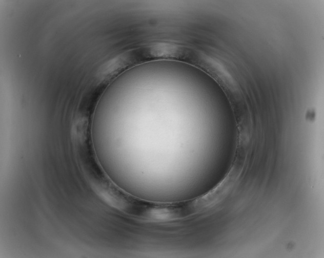 X0000102390171200808011609