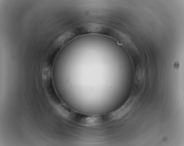 X0000102390172200808011609