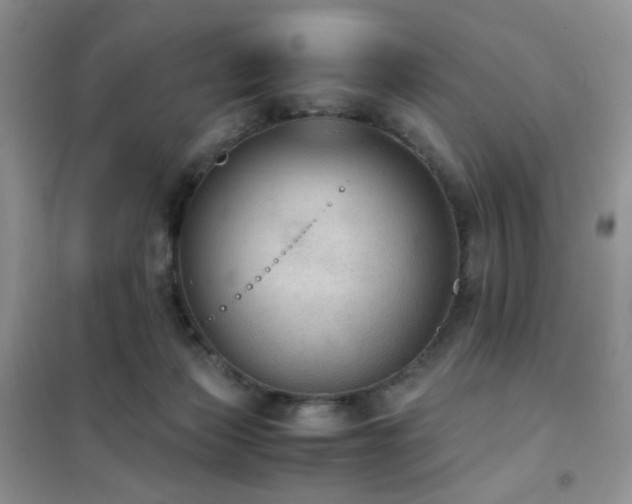 X0000102390173200808011609