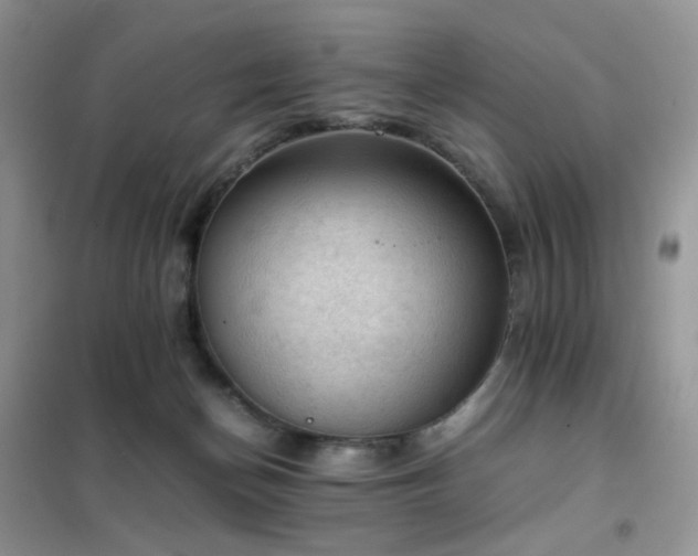 X0000102390174200808011609