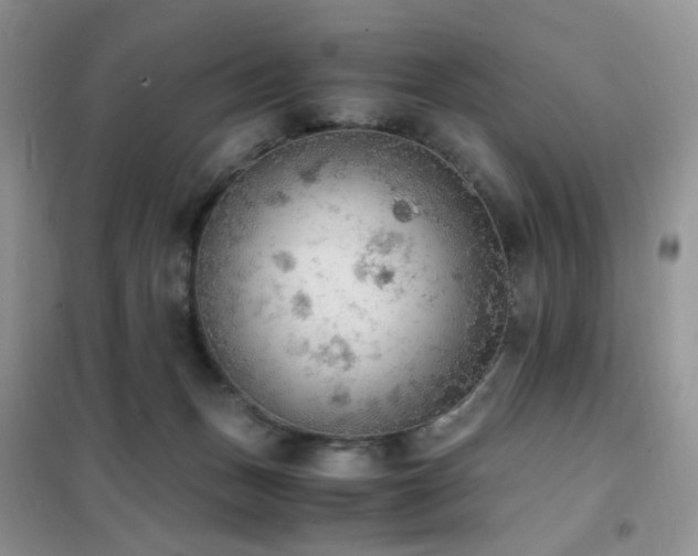 X0000102390175200808011609