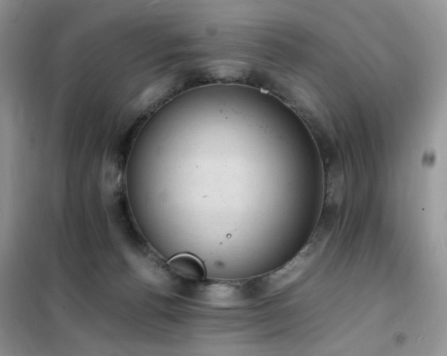 X0000102390176200808011609