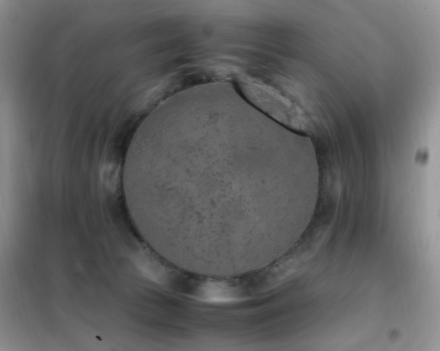 X0000102390177200808011609