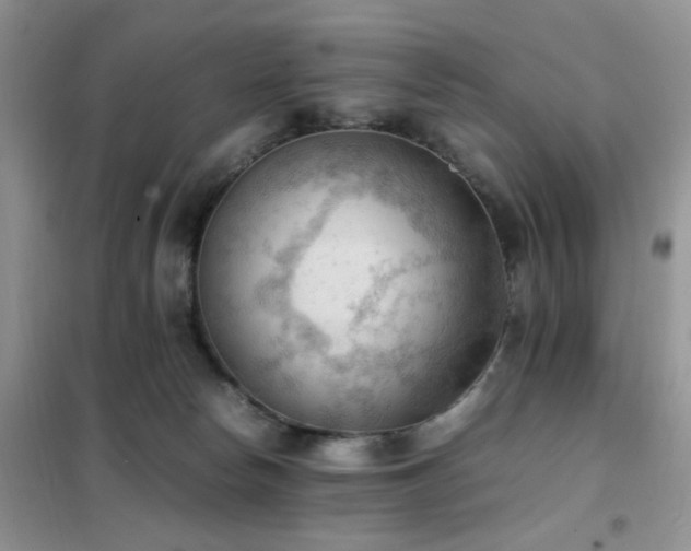 X0000102390178200808011609