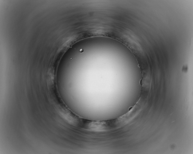 X0000102390179200808011609