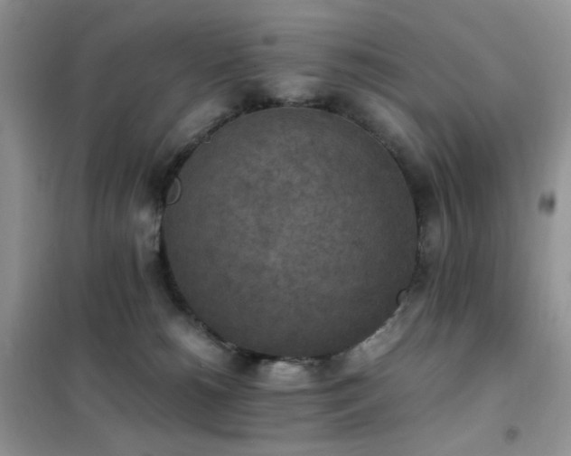 X0000102390180200808011609