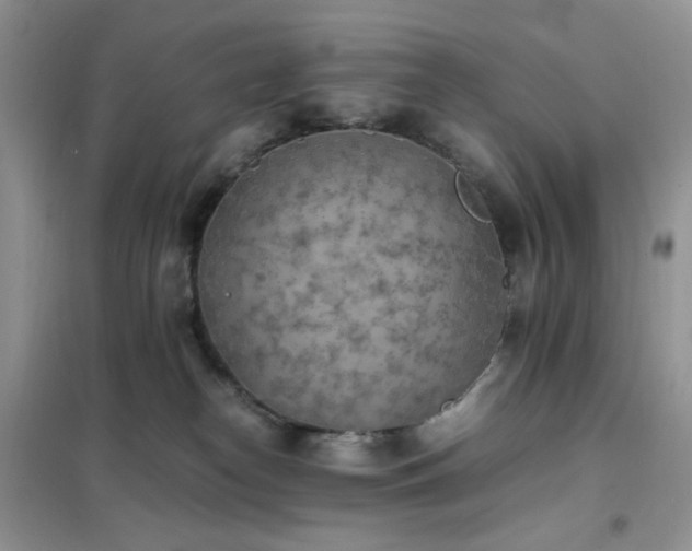 X0000102390182200808011609