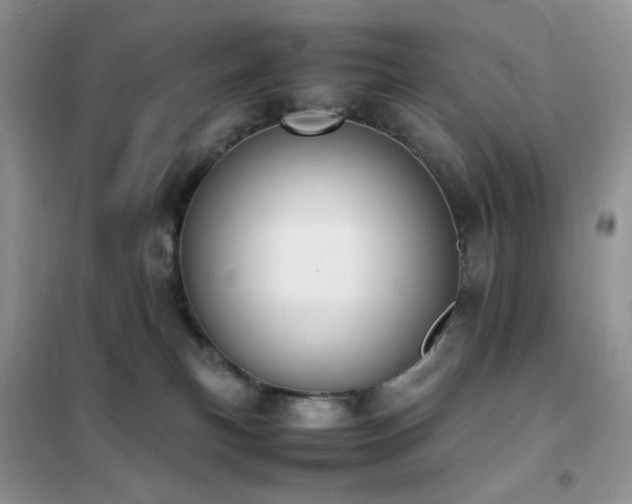 X0000102390183200808011609