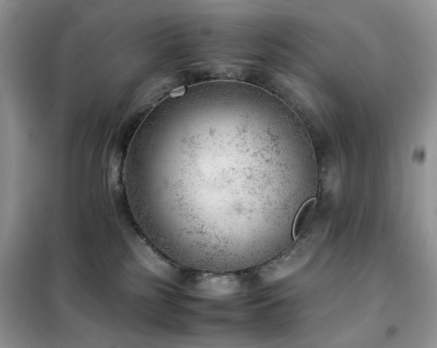 X0000102390185200808011609