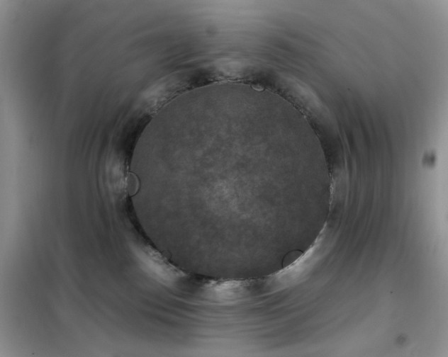 X0000102390186200808011609