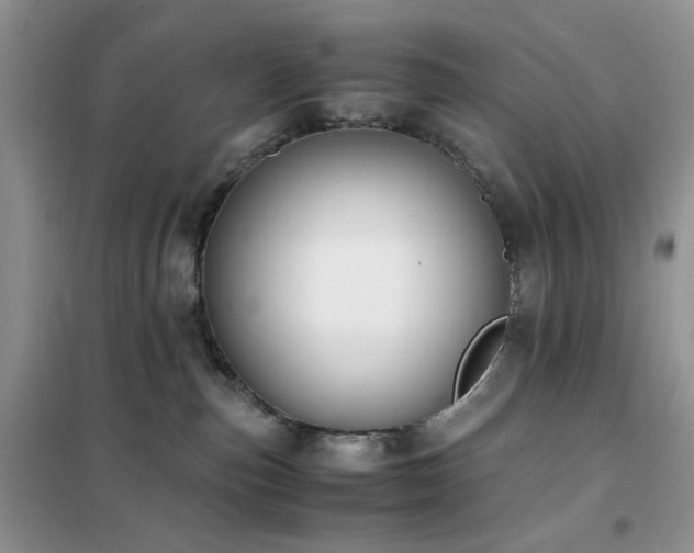 X0000102390187200808011609