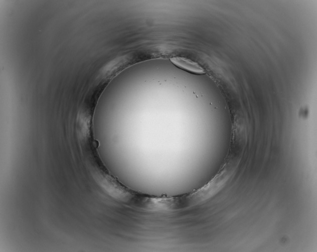 X0000102390188200808011609