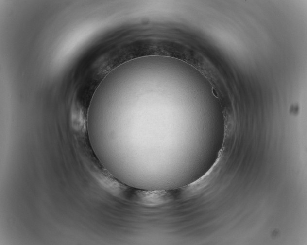 X0000102390191200808011609