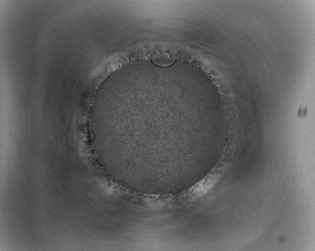 X0000102390192200808011609