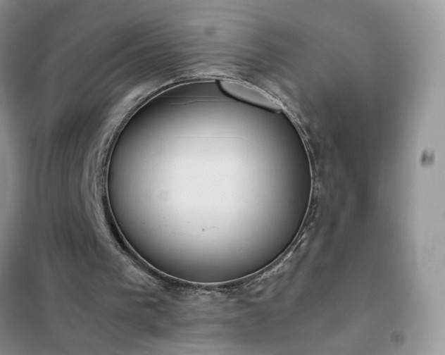 X0000102390193200808011608