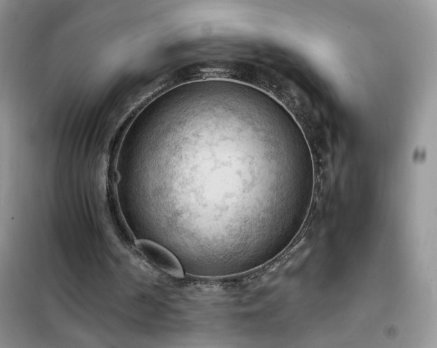 X0000102390194200808011608