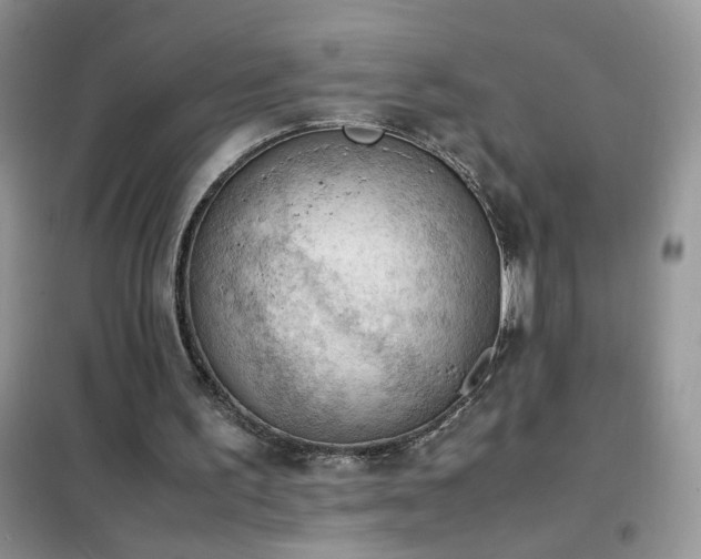 X0000102390195200808011608