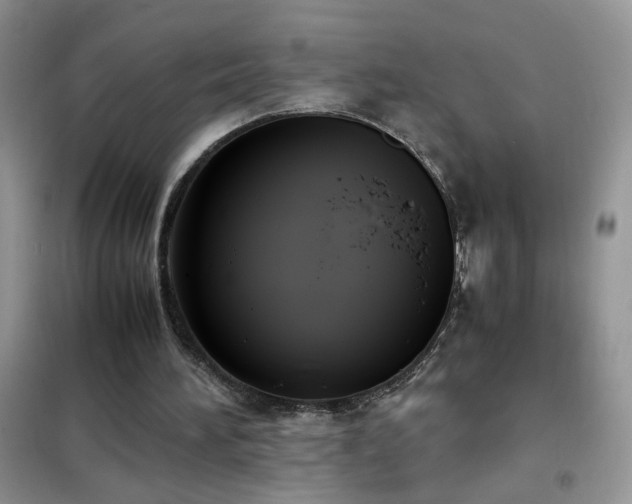 X0000102390196200808011608