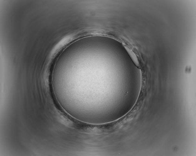 X0000102390197200808011608