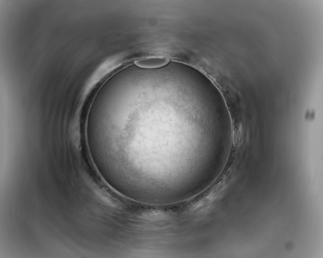 X0000102390198200808011608