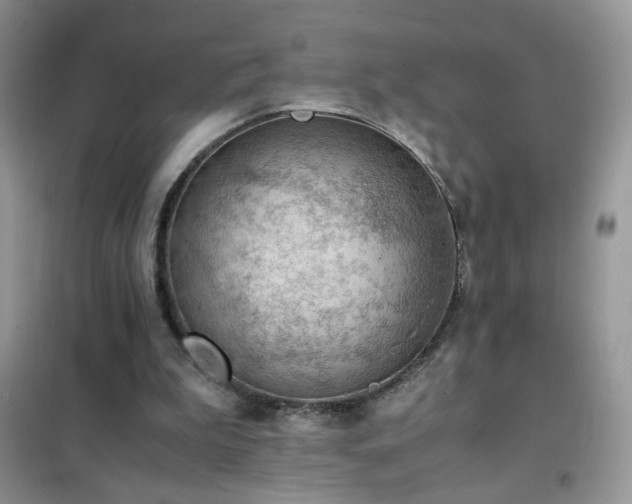 X0000102390199200808011608