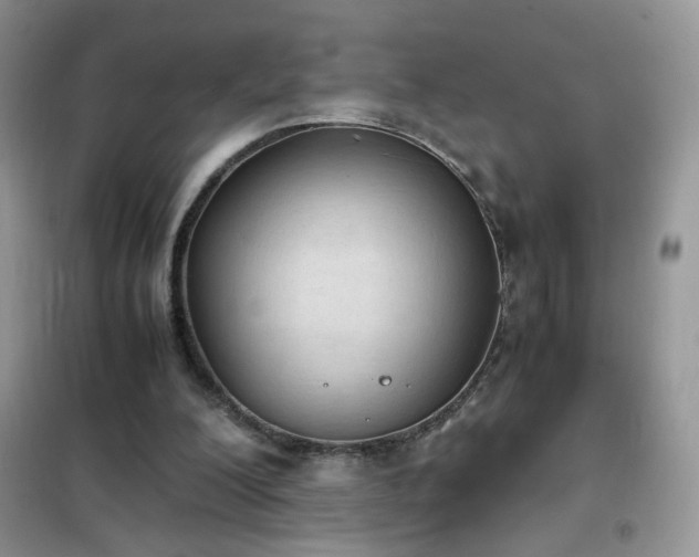 X0000102390200200808011608