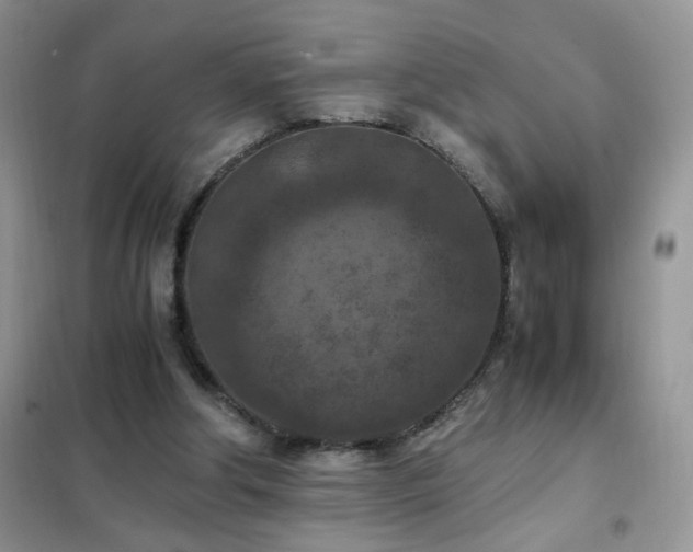 X0000102390202200808011608