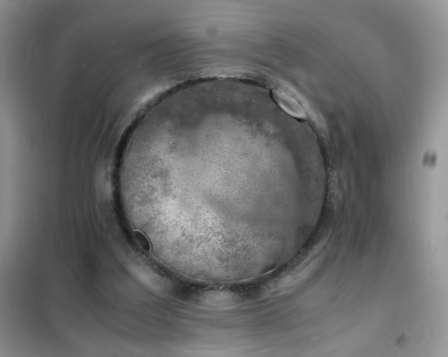 X0000102390203200808011608