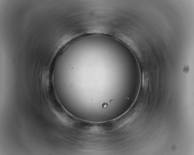 X0000102390204200808011608