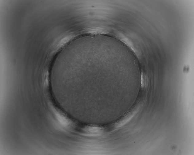 X0000102390205200808011608