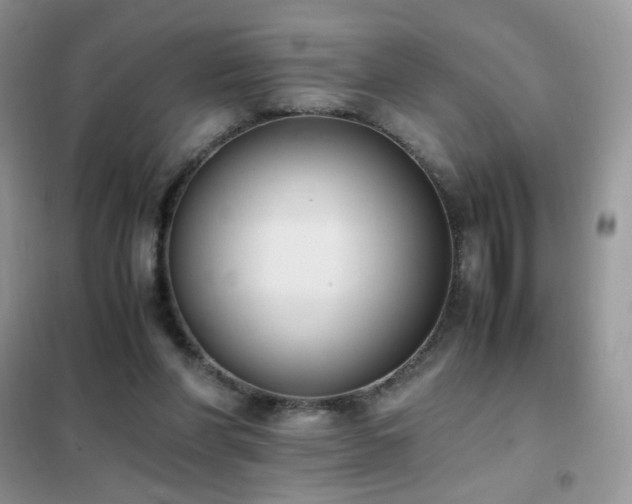 X0000102390206200808011608