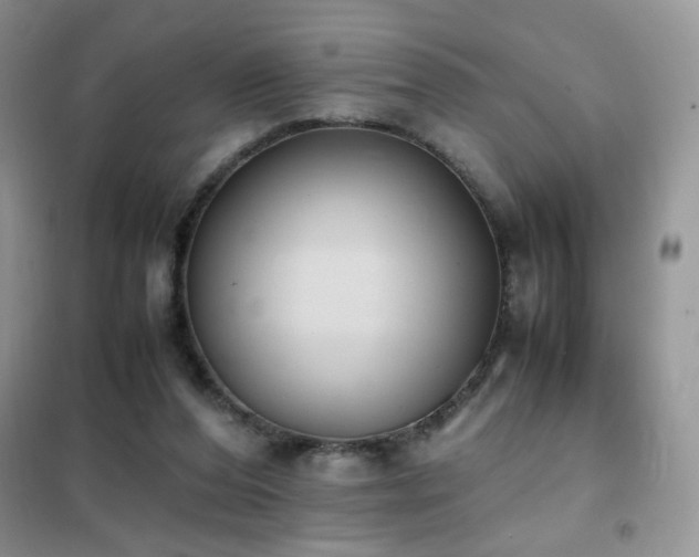 X0000102390208200808011608