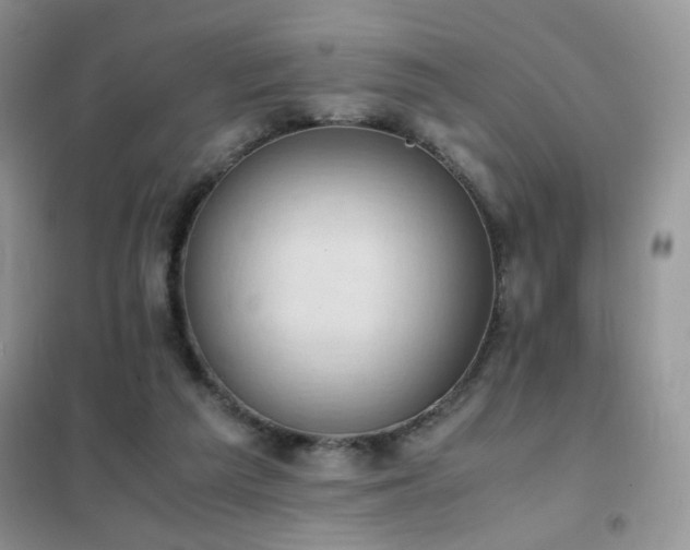 X0000102390209200808011608