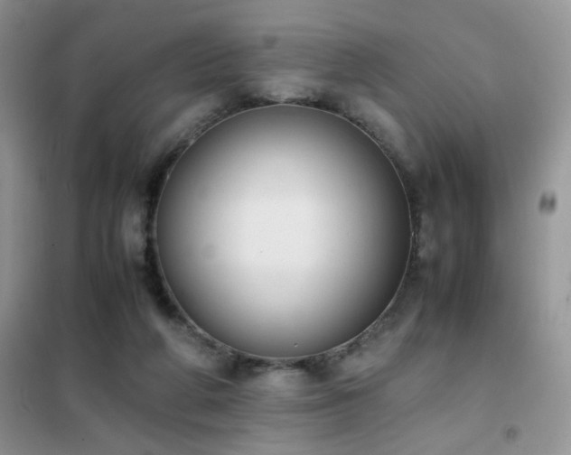 X0000102390210200808011608