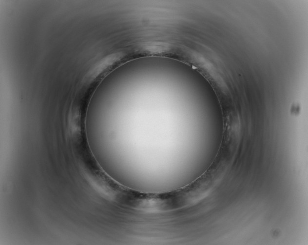 X0000102390212200808011608