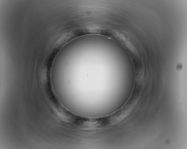 X0000102390213200808011608