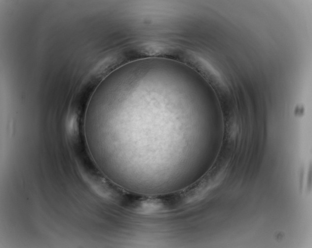 X0000102390214200808011608