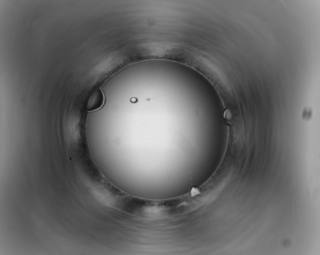 X0000102390216200808011608