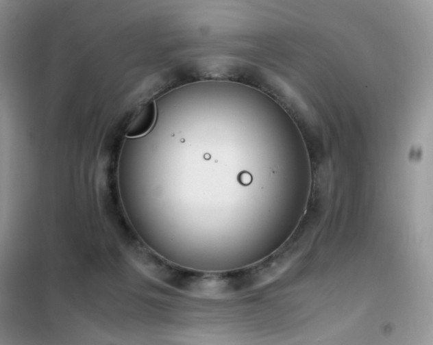 X0000102390217200808011608