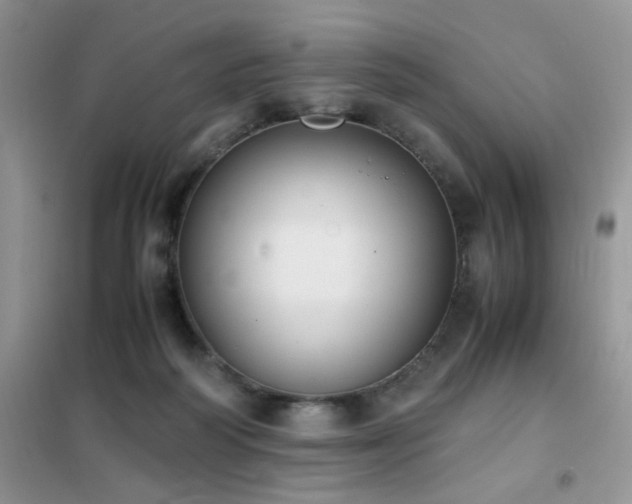 X0000102390218200808011608