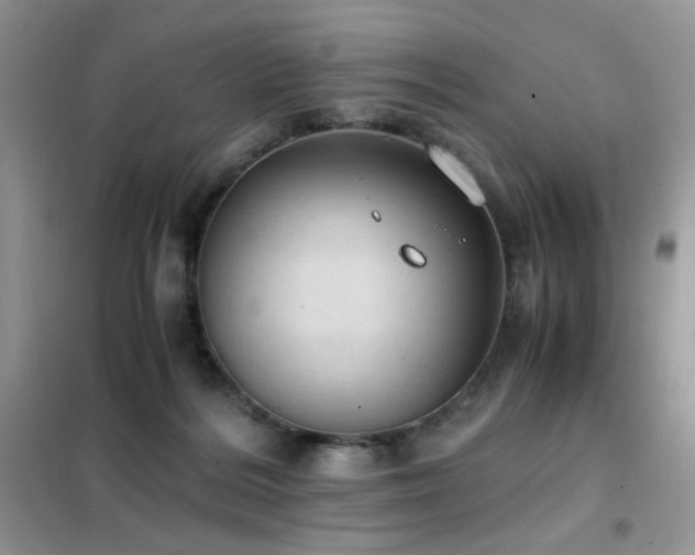 X0000102390220200808011608