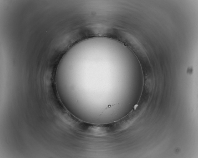 X0000102390221200808011608